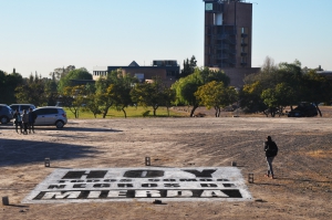 araña galponera2 (2)